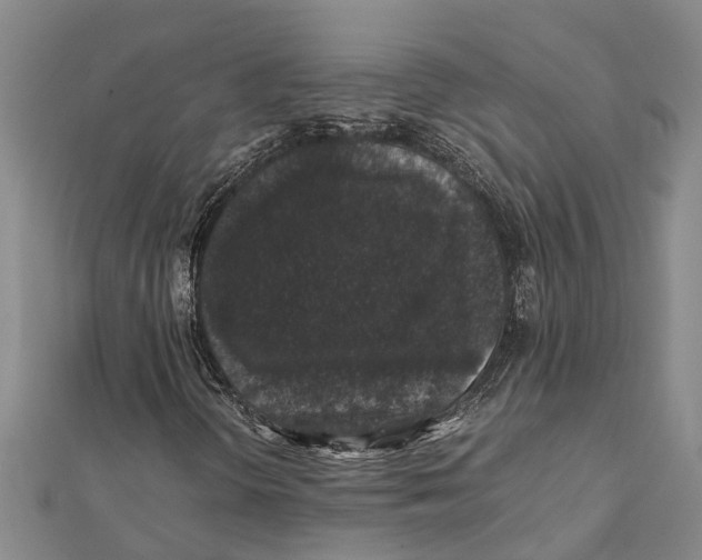 X0000112111298200909011137