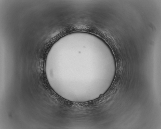 X0000112111301200909011137