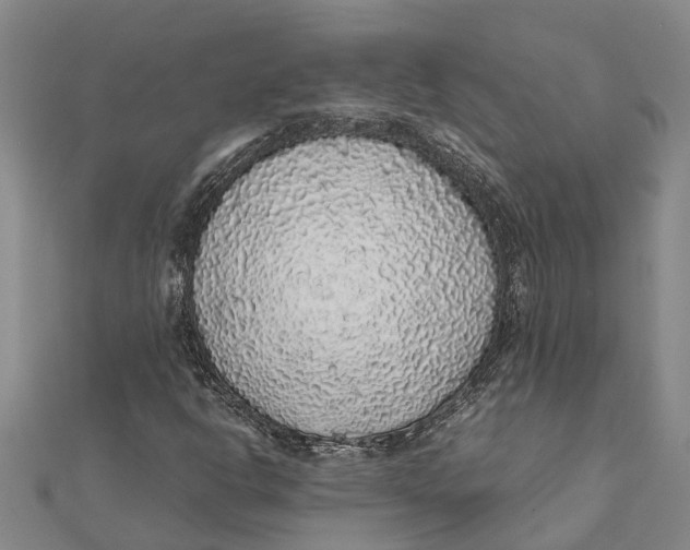 X0000112111302200909011137