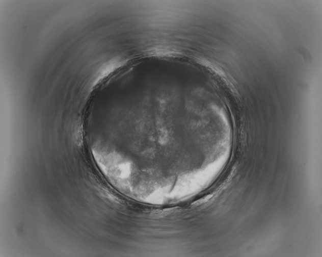 X0000112111306200909011137