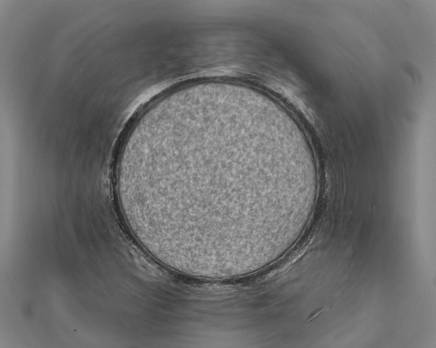 X0000112111308200909011137