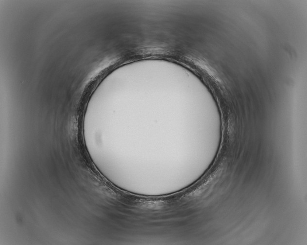 X0000112111309200909011137