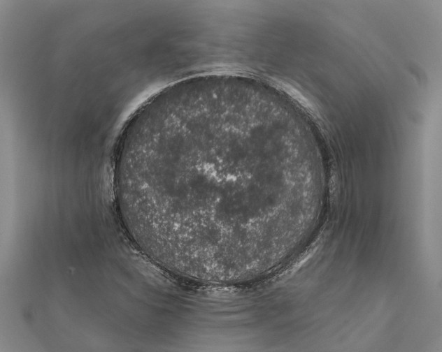 X0000112111310200909011137