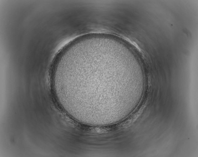 X0000112111311200909011137