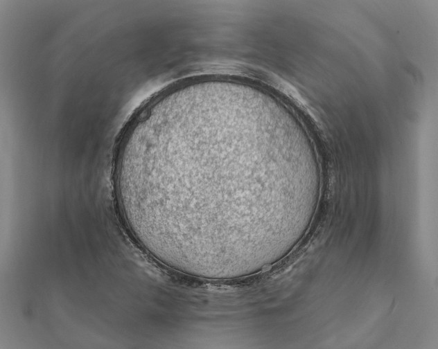 X0000112111312200909011137