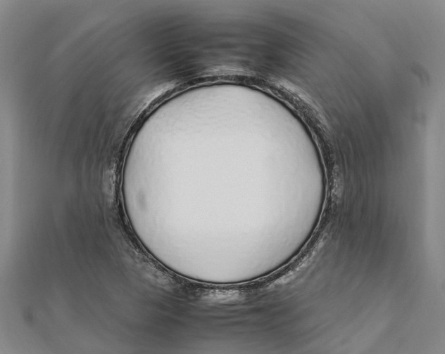 X0000112111313200909011137