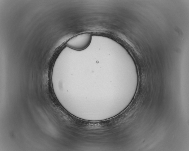 X0000112111315200909011137