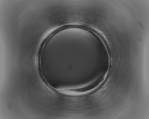 X0000112111319200909011137