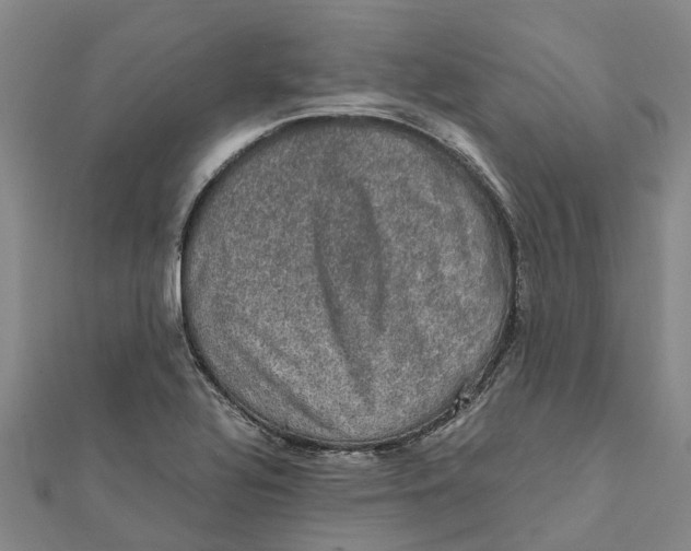 X0000112111320200909011137