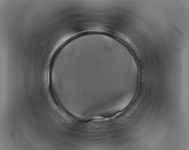 X0000112111323200909011137