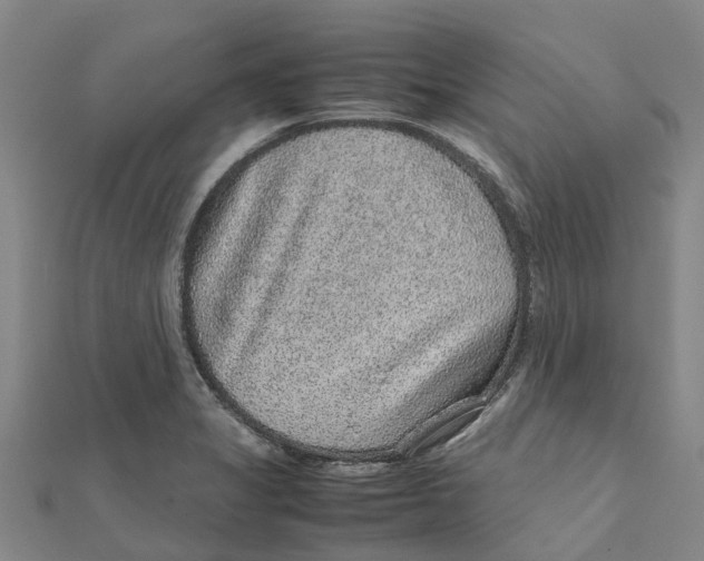 X0000112111325200909011137