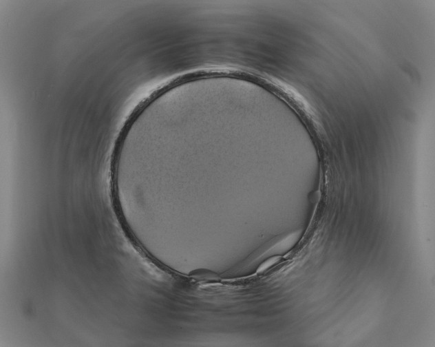 X0000112111327200909011137