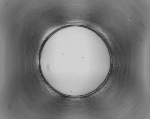 X0000112111328200909011137