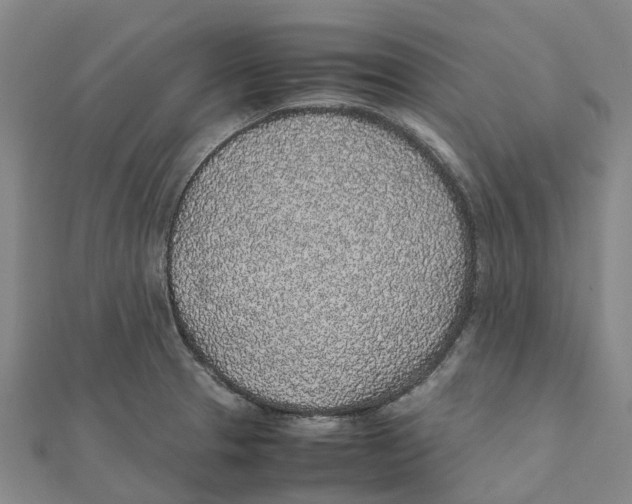 X0000112111329200909011137