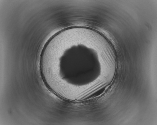 X0000112111331200909011137