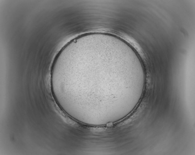 X0000112111332200909011137