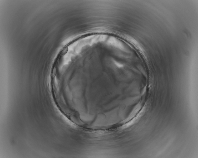 X0000112111334200909011137