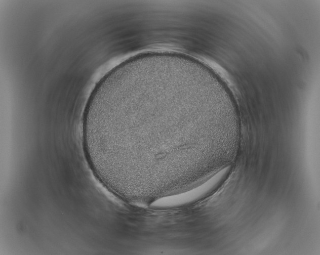 X0000112111335200909011137