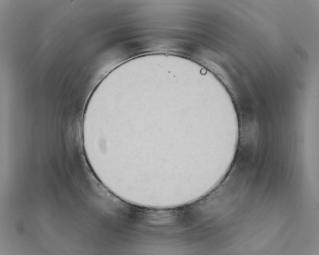 X0000112111338200909011137