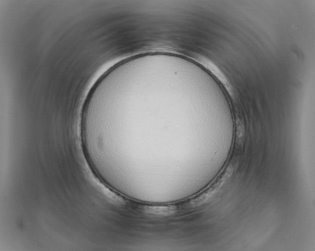 X0000112111339200909011137