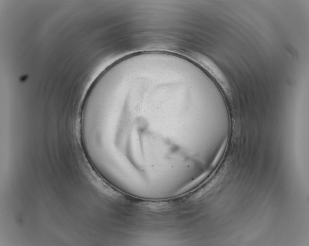 X0000112111340200909011137
