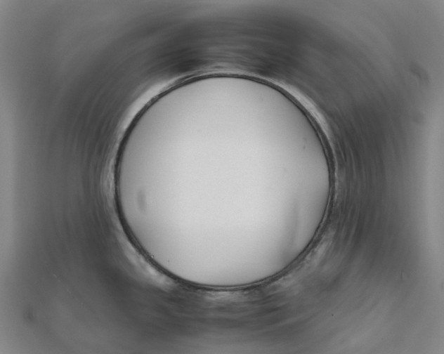 X0000112111341200909011137