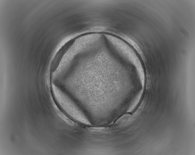 X0000112111342200909011137