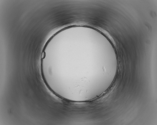 X0000112111343200909011137