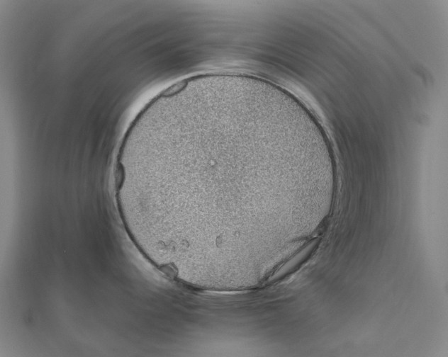 X0000112111344200909011137