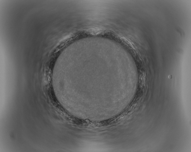 X0000112111349200909011137