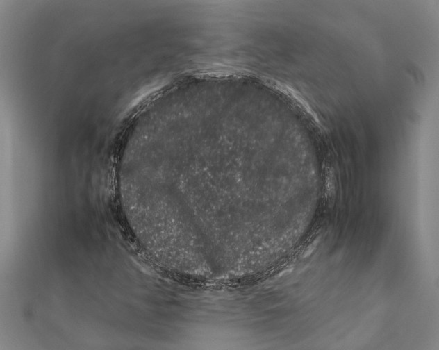 X0000112111350200909011137