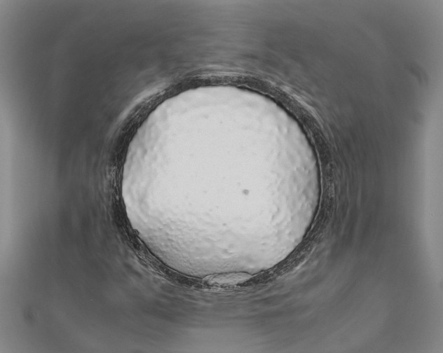 X0000112111351200909011137