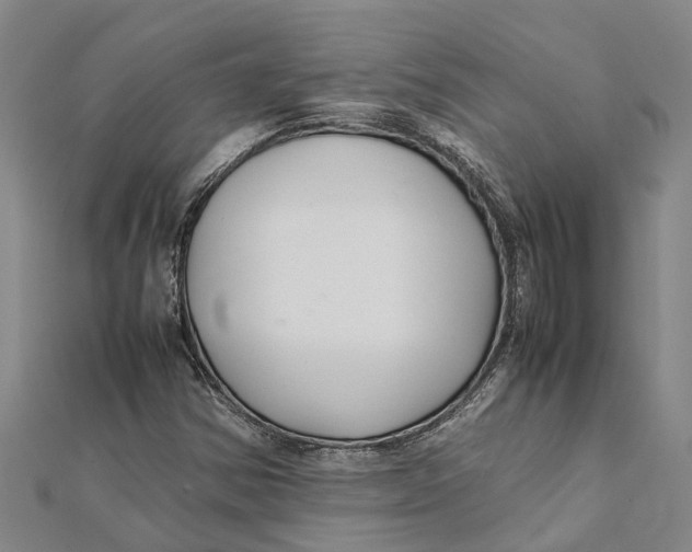 X0000112111354200909011137