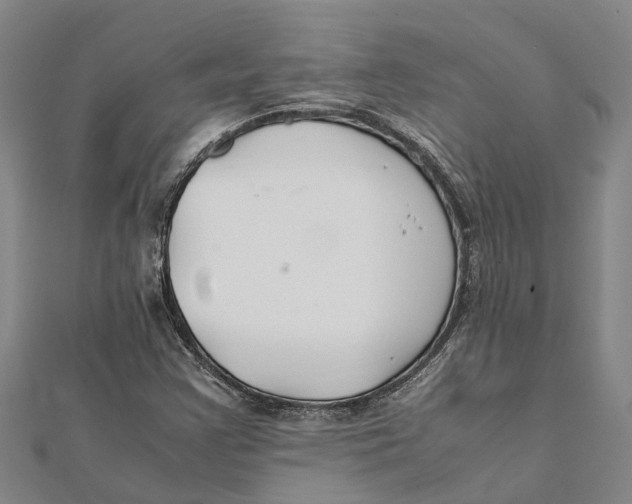 X0000112111355200909011136