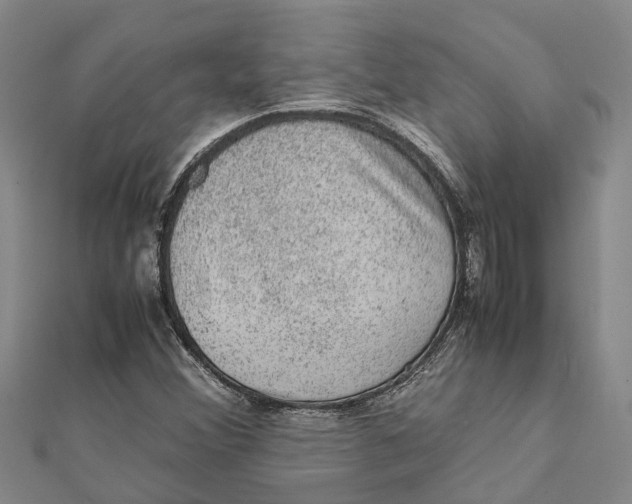 X0000112111356200909011136