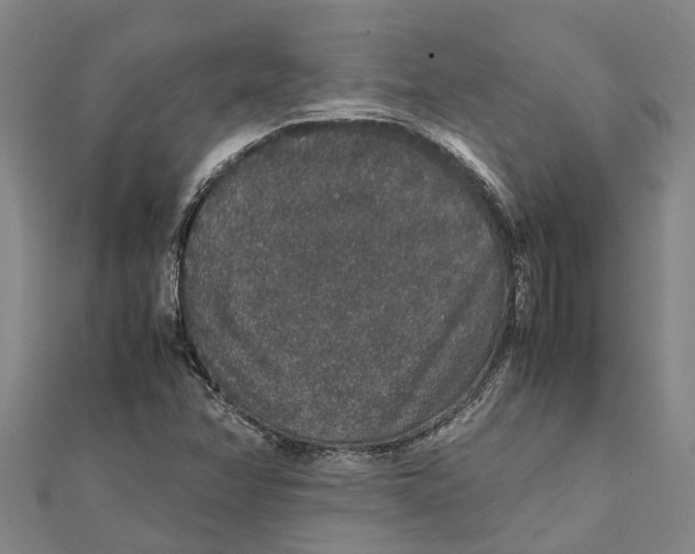 X0000112111358200909011136