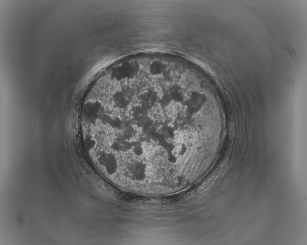 X0000112111359200909011136