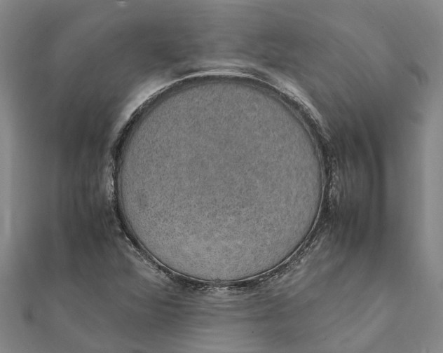 X0000112111360200909011136