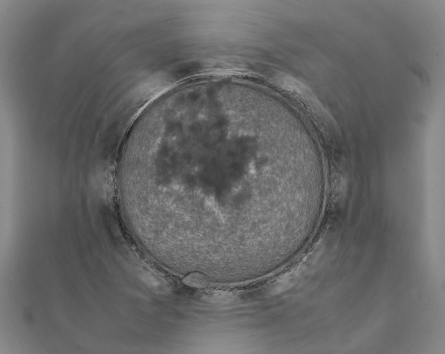 X0000112111361200909011136