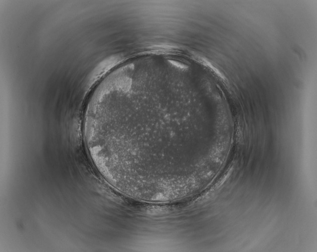 X0000112111362200909011136