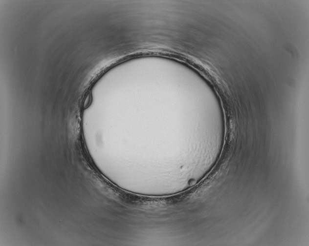 X0000112111363200909011136