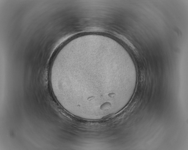 X0000112111364200909011136