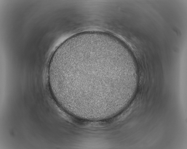 X0000112111367200909011136