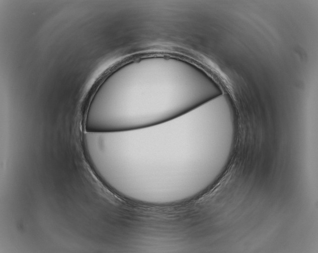 X0000112111368200909011136