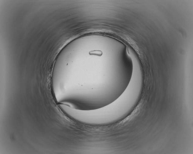 X0000112111369200909011136