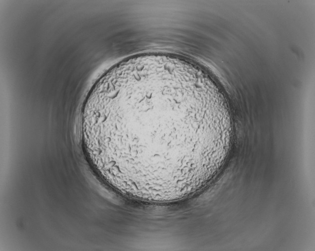 X0000112111371200909011136