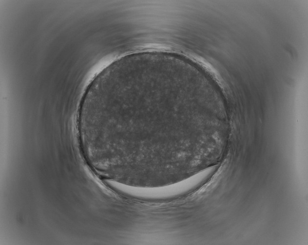 X0000112111373200909011136