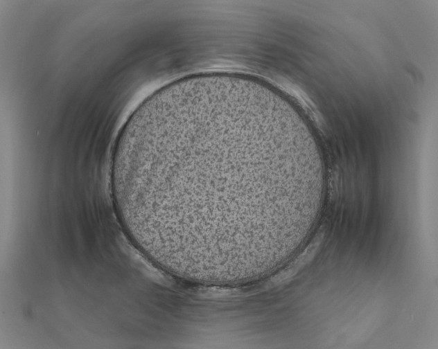 X0000112111374200909011136