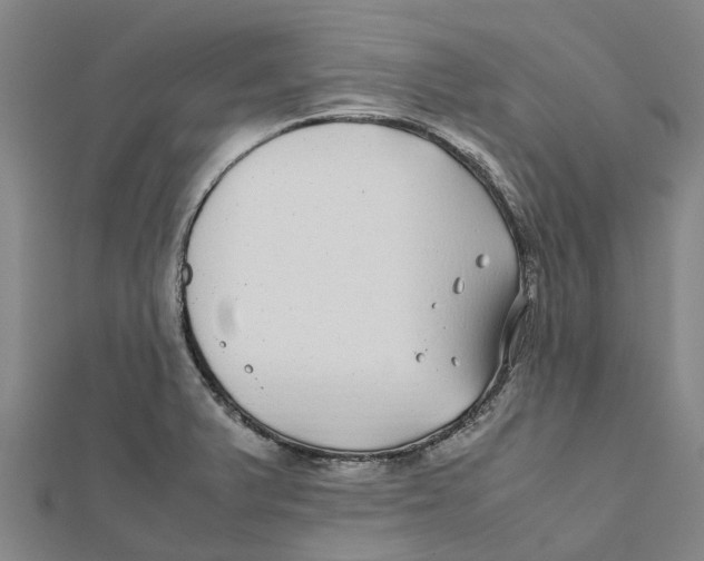 X0000112111375200909011136