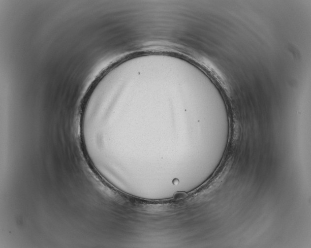 X0000112111376200909011136